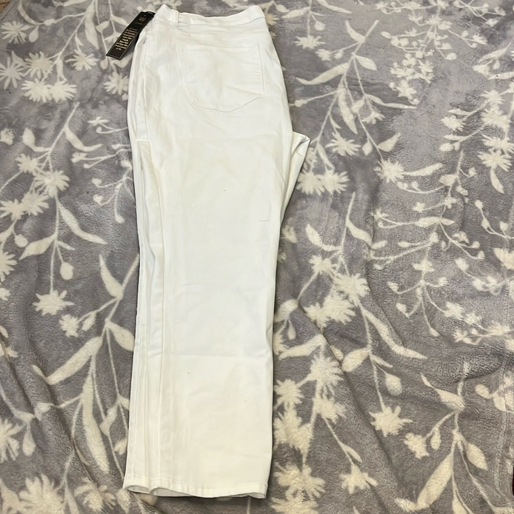 NWT DG2 Diane Gilman Skinny Jeans- Zip Up Stretch in winter white SZ 22W